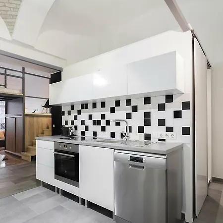 公寓 Paulay 14 Apartmens 布达佩斯